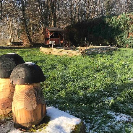 Gite Amelie, Sauna, Spa Au Coeur Des Vosges Housseras Exterior photo